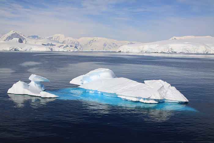 Découvrir le 7ème continent via la croisière Antarctique
